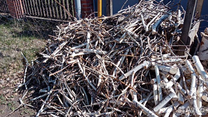 Ветки берёзовые