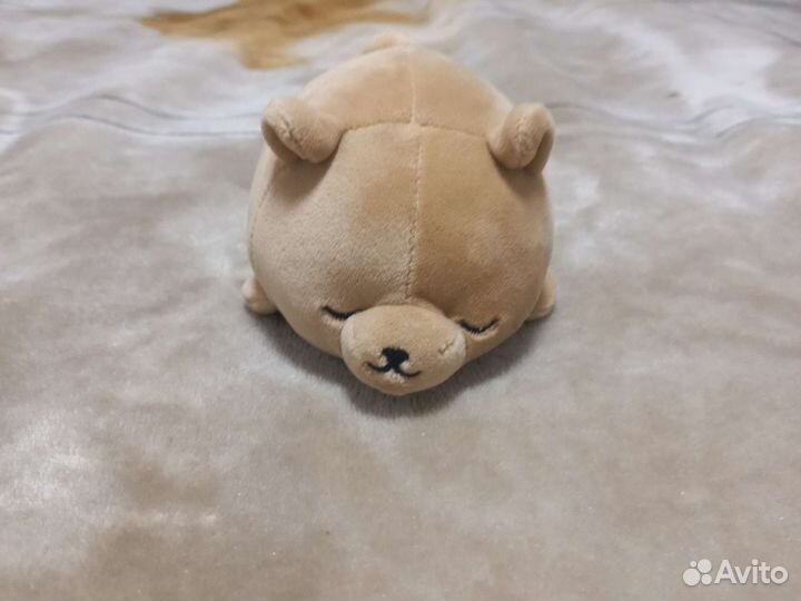 Милый, спящий медвежонок