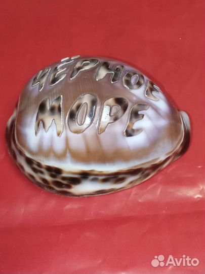 Ракушка сувенир