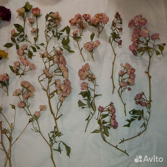 Сухоцветы для поделок,лепестки роз эко