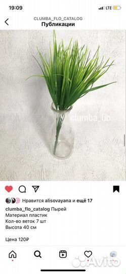 Пырей, осока, лук