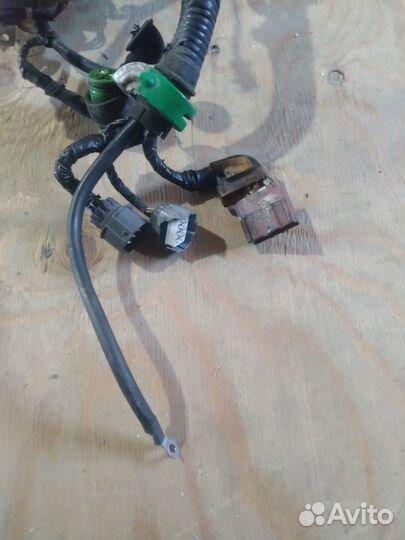 Проводка двигателя Honda Accord F20A4 89-98 Rover