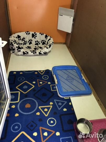 Отель для собак Собачья Дача