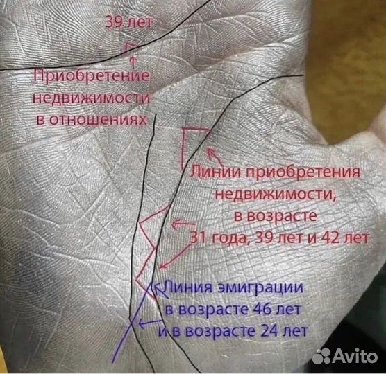 Хиромант, нумеролог, обучение