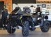 Квадроцикл Stels ATV 650 Guepard 2.0 TE trophy EPS