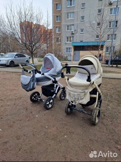 Коляска 2 в 1 Adamex