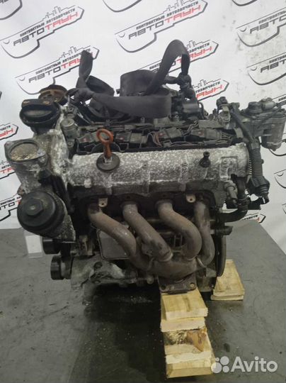 Двигатель audi volkswagen skoda BLF A3 golf golf p