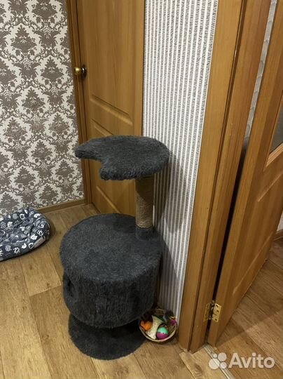 Комплекс для кошек бу