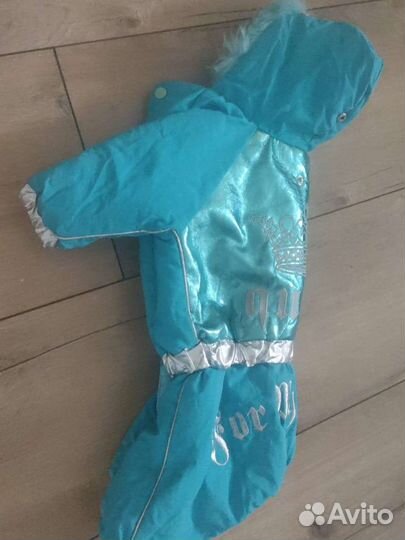 Костюм для собаки