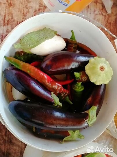 Огурцы помидоры баклажаны острый перец паттисоны