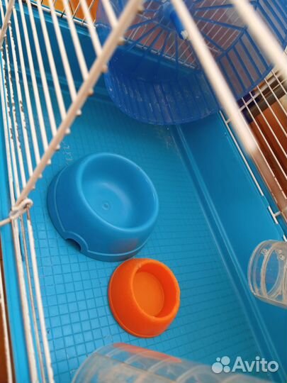 Клетка для хомяка бу