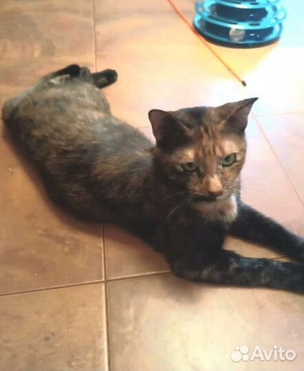 Чудесная девочка подросток в дар