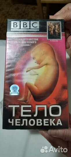 Диски bbc мужчины и женщины, тело человека