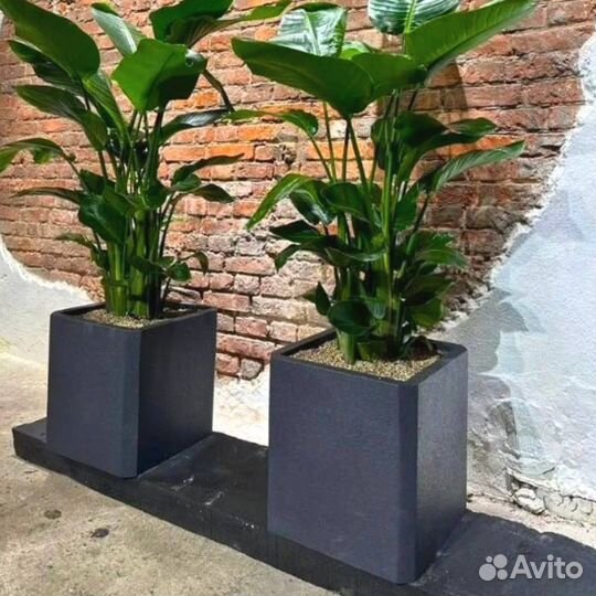 Кашпо с имитацией бетона