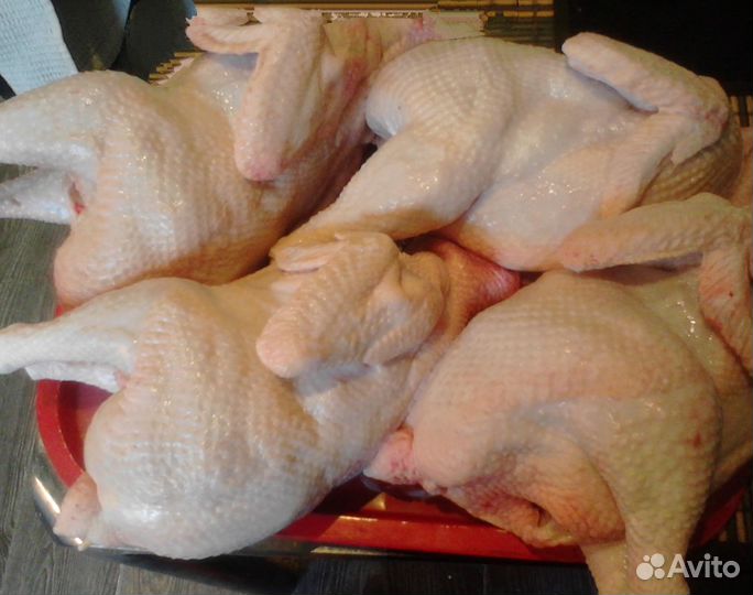 Мясо кролика, цыплят бройлеров и утки