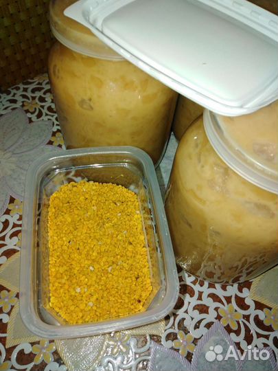 Пчёлы, матки, пакеты