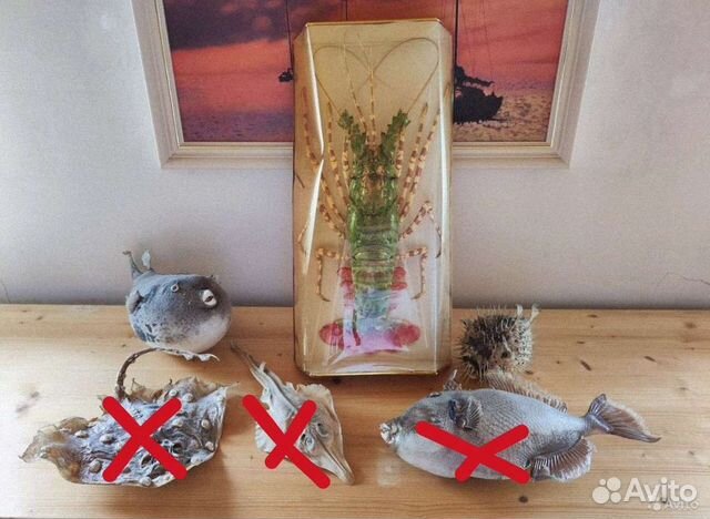 Чучела рыб