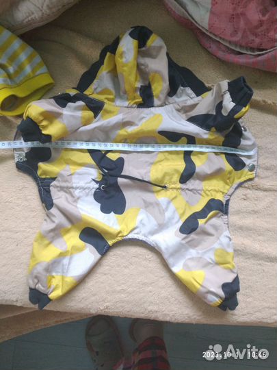 Одежда для собак