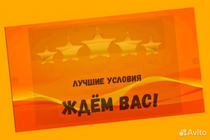 Сортировщик Еженедельный аванс Спецодежда М/Ж