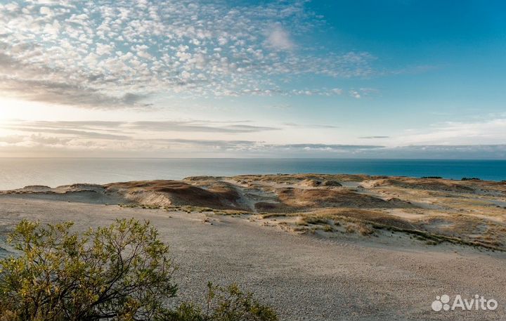 Калининград Топ-Экскурсия Автобусная экскурсия «Ку