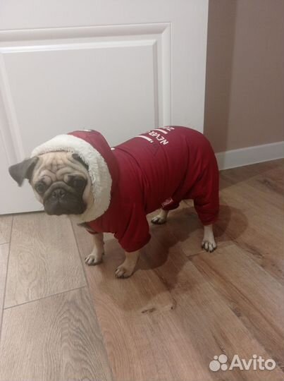 Комбез зимний для собаки