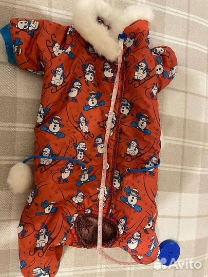 Комбинезон для собаки