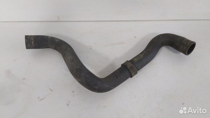 Патрубок радиатора верхний Ford Focus 2