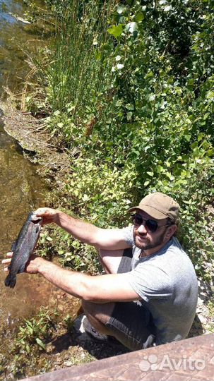 Консультации по рыбоводству и аквакультуре