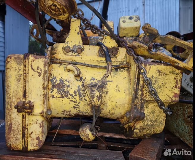 Тельфер болгарский