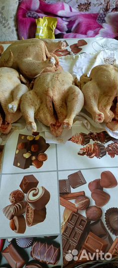 Продукты питания