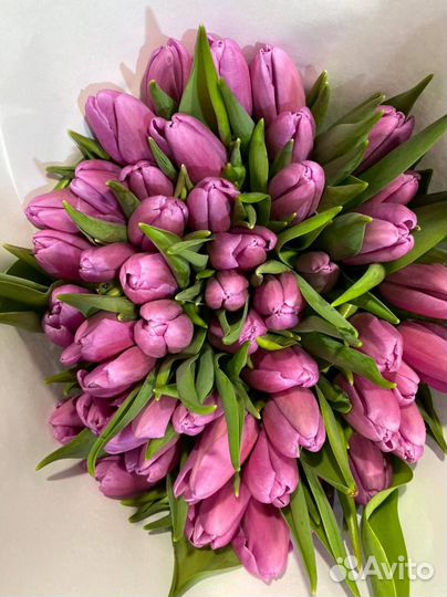 Букет тюльпанов