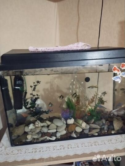 Аквариум