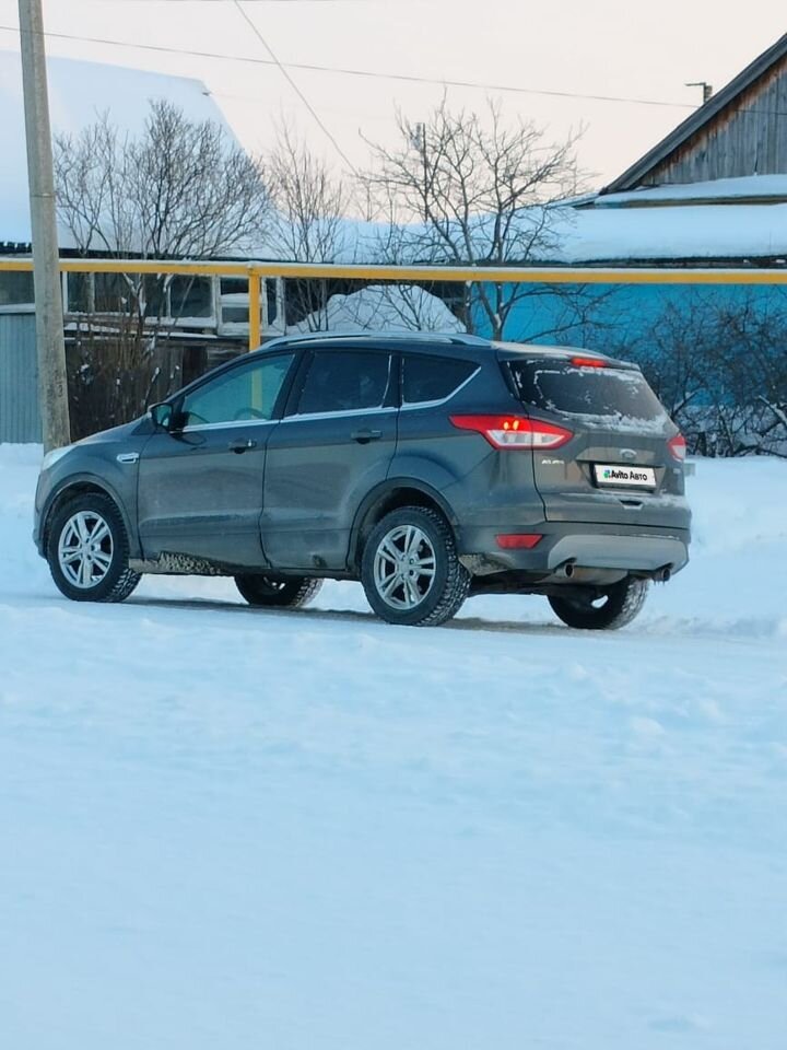 Ford Kuga: фото владельца