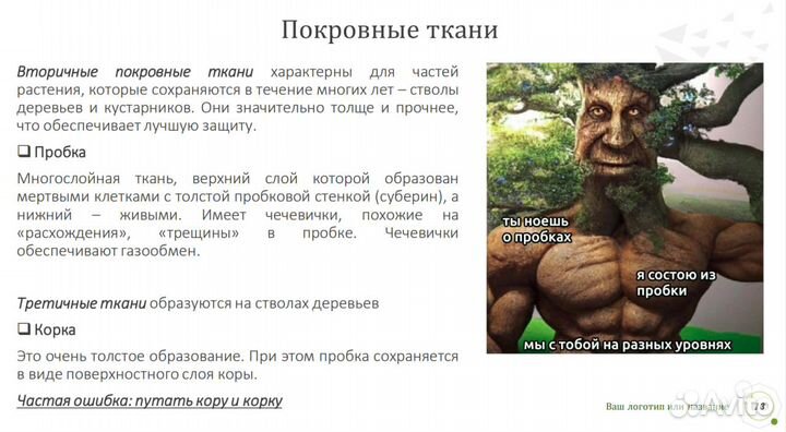 Репетитор по биологии егэ/огэ/впр