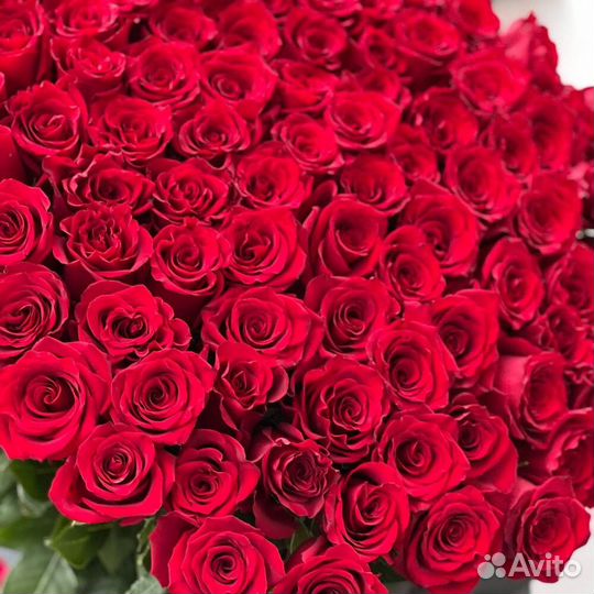 Розы высокие / огромные розы С доставкой