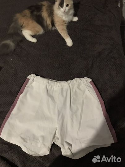 Штаны, шорты