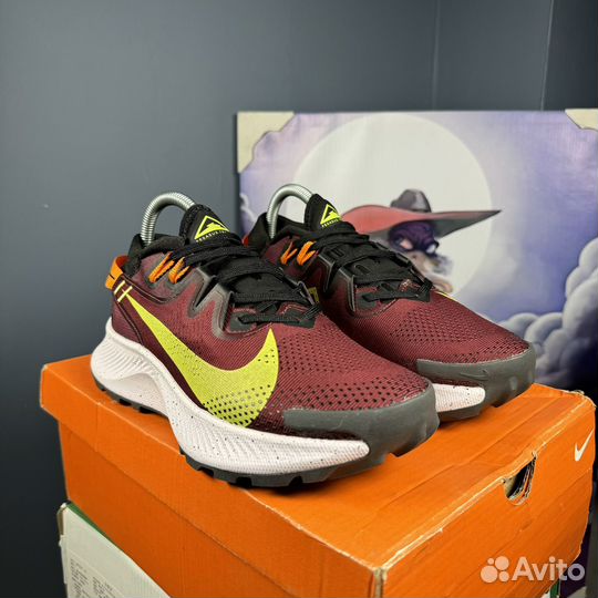 Nike pegasus trail 2