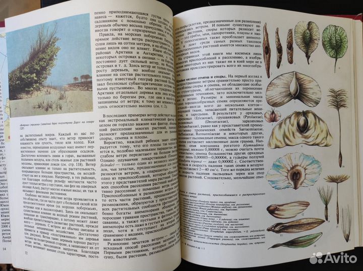 Книги о растениях