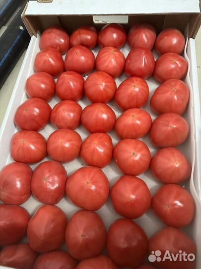 Помидоры розовые
