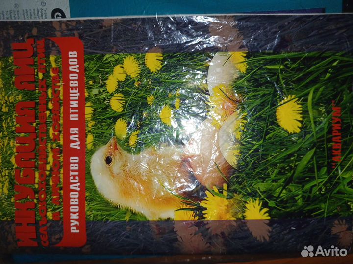 Инкубатор несушка 36