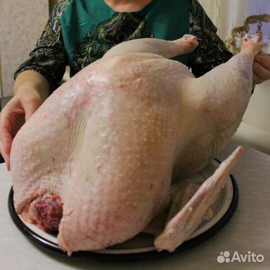 Мясо индейки