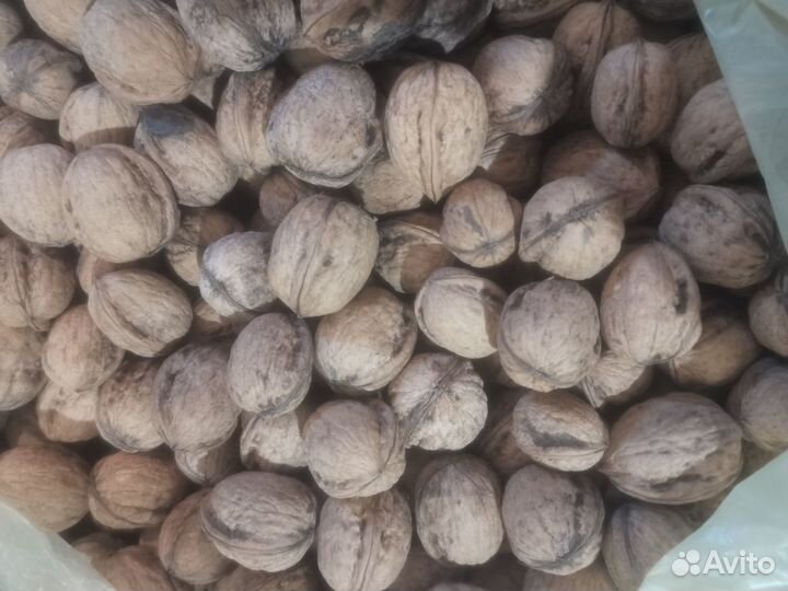 Продам орех грецкий, дачный