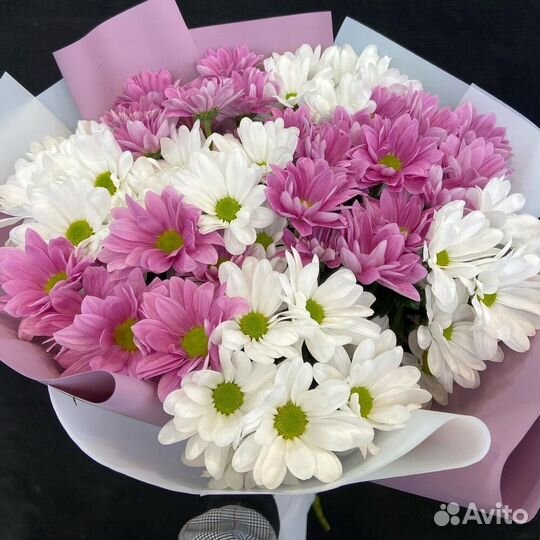 Букет из 7 белых и розовых хризантем