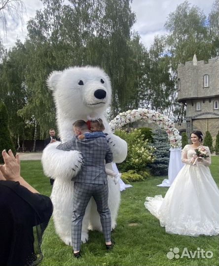 Поздравление от белого танцующего мишки