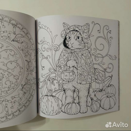 Раскраска для взрослых Kanoko Egusa