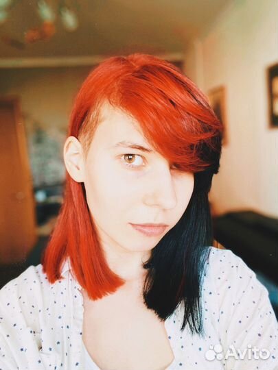 Художник иллюстратор