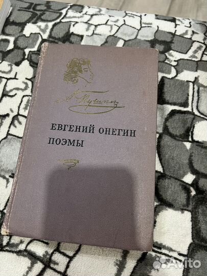 Евгений Онегин. Поэмы