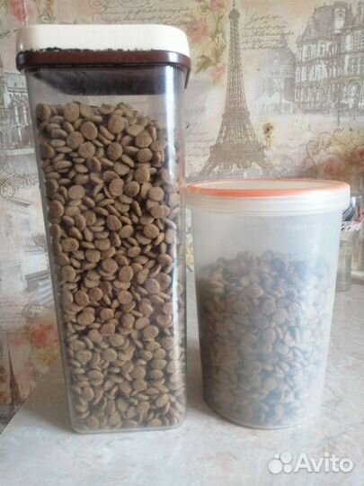 Корм для собак роял канин