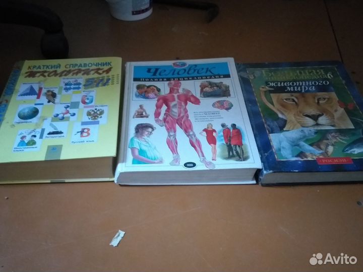 Энциклопедия