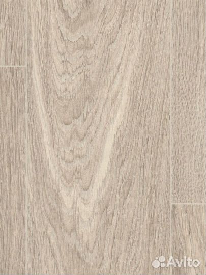 Ламинат Classic Pro NEW Дуб Кортон белый